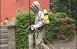 Pompiers : chasse aux guêpes